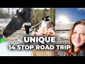 Road trip around lake simcoe from toronto 14 fun stops to do anytime of the year