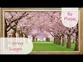 Spring Frame Art with Rotating Images