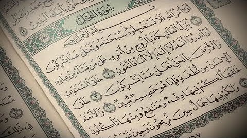 Surat Al-Nahl - Ibrahim Abdulkader ... سورة النحل بصوت الشيخ إبراهيم عبدالقادر