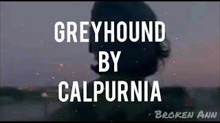 Calpurnia - Greyhound ~~LYRICS~~