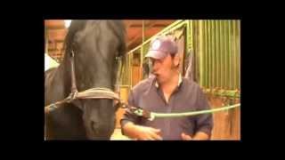 Aiase - Il Segreto Del Vecchietto