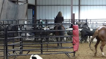 High Dollar Gamble - sorting practice 3 - Valley View Ranch