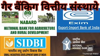 गैर बैंकिंग वित्तीय संस्थाये ।। non banking financial institutions।। economics