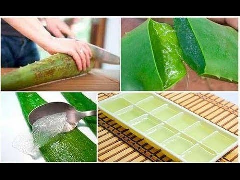 Video: Il gel di aloe vera scade?