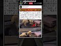 この犬、仕事を忘れてる気がする 🤣