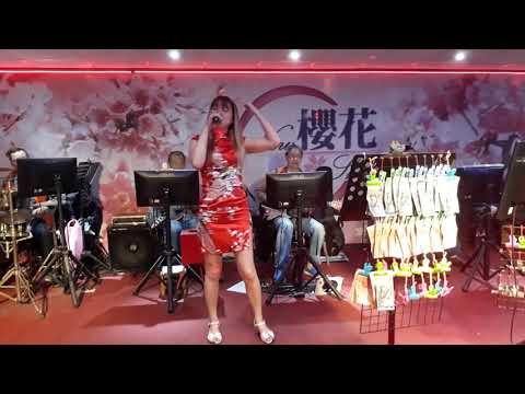 （新櫻花主持人雅婷演唱舞女~康康版）108年3月14日