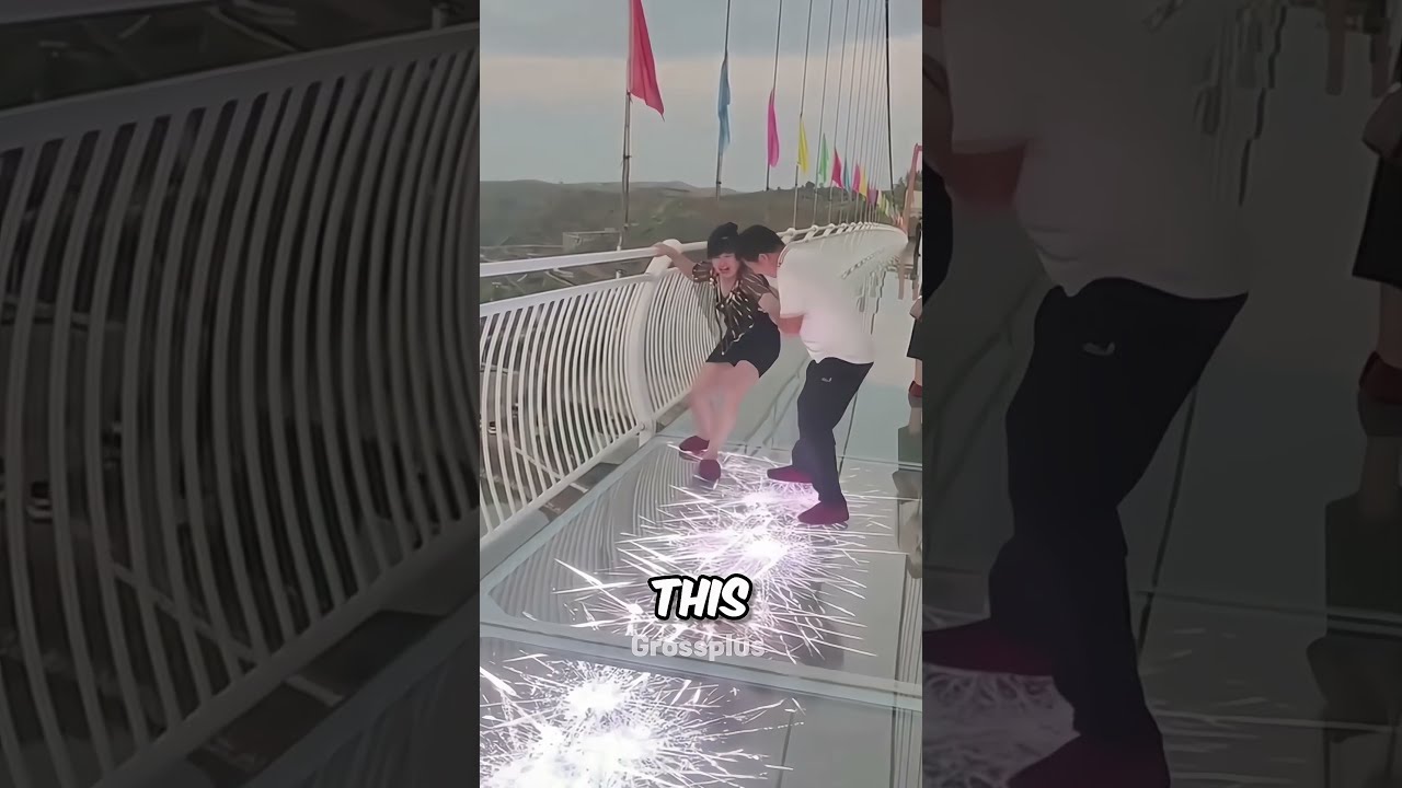 China Glass Bridge Shorts Science