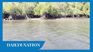The Mkanda Channel: Siltation crisis chokes Lamu’s lifeline