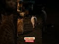 Yang Pergi… Bukan yang Tidak Peduli.