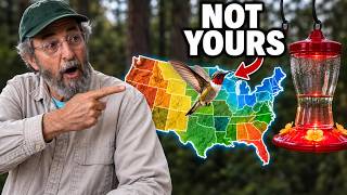What Your Hummingbirds Are Doing Right Now, State by State