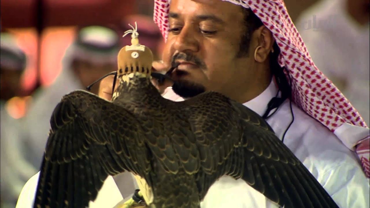 مزاد الطيور في سوق واقف - 15-11-2015