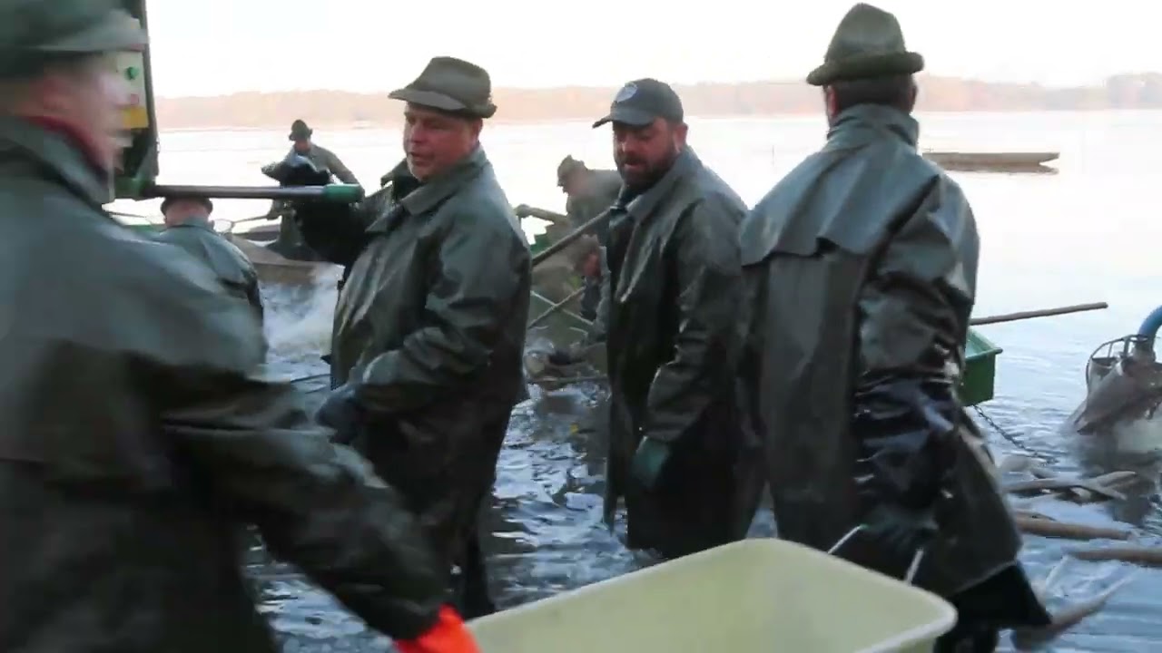 Munický rybník vydal svůj poklad. Na Hlubokou lákaly i rybářské slavnosti