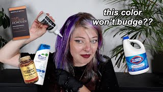 using EVERY hair color removing method to get the purple dye out of my hair by Crystal Lindy 75,626 views 8 months ago 21 minutes