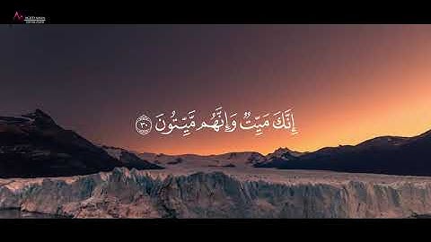 تلاوات خاشعة | سورة الزمر | الآية 22 الى الآية 38