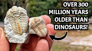 We Busted Open 425 Million Year Old Rocks and Found EPIC Museum Quality Fossils!