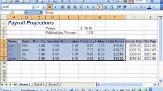 Excel 2003 Tutorial AutoFormatting Microsoft Training Lesson 8.2