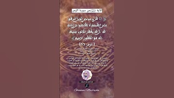 الآية (53)من سورة الزمر... القارئ الشيخ ماهر المعيقلي..