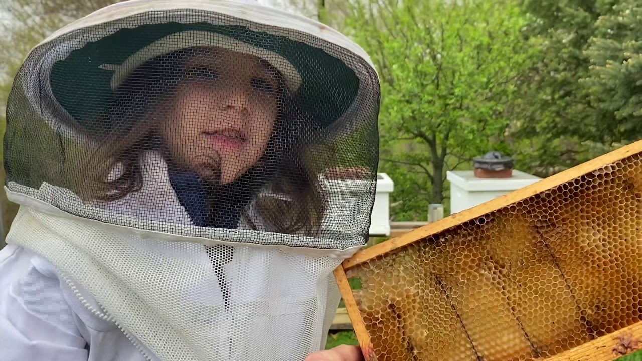 Our little Farm - YouTube