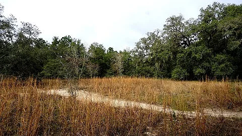 Exploring Croom (Florida) Ghost Town (Part Two)