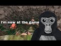 Acting like a noob in gorilla tag