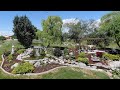 Planting Around a Pond