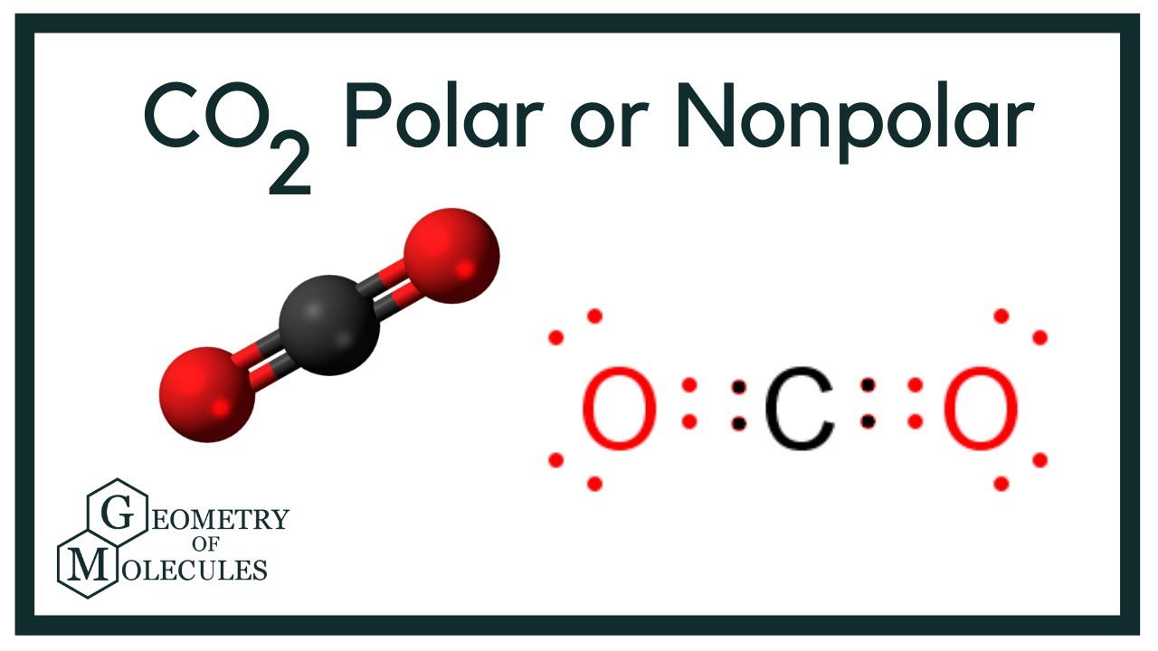 Is Co2 Polar Or Nonpolar Atom - Design Talk