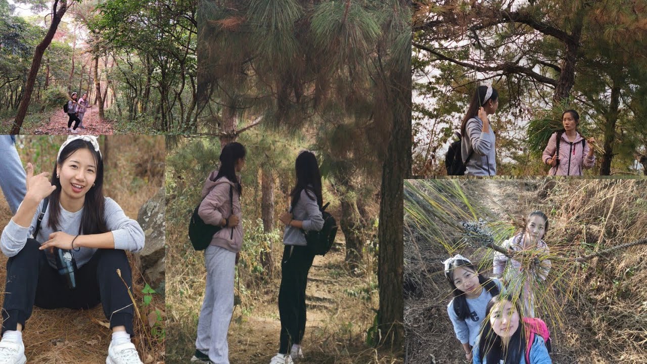 Trek to Historic  Phegei  Hill #Khonoma village#trekking #forest 