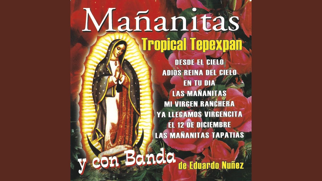 Buenos Días Paloma Blanca