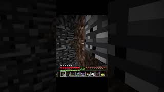 Day 59 Of Taking Your Craziest Ideas And Putting It in My Survival World #minecraft