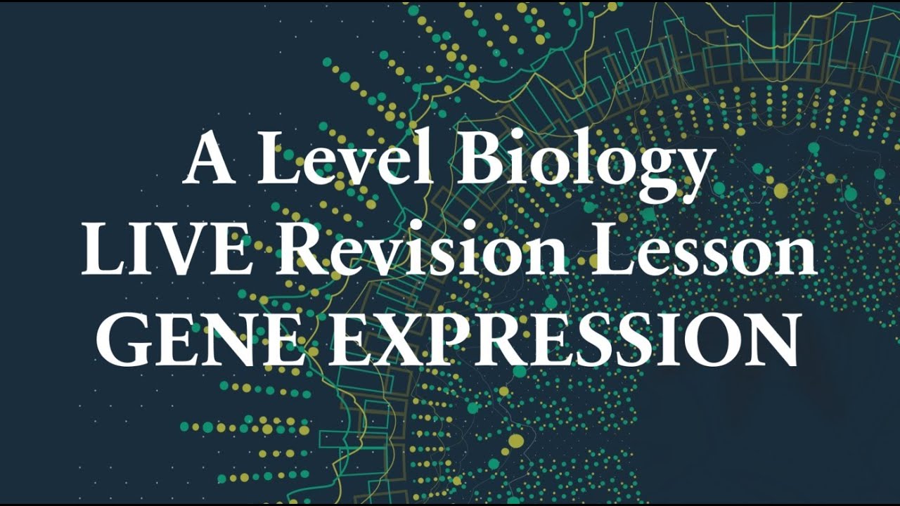 AQA A level Biology LIVE Revision Gene Expression - YouTube