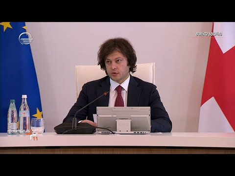 მთავრობის სხდომა  - პრემიერის განცხადება