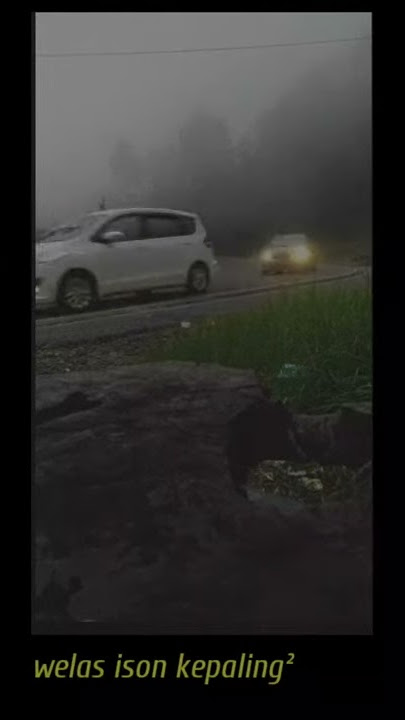 story' wa terbaru welas ison