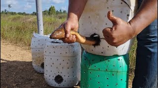 Tahan Belut Guna Perangkap/Tukir Tong - Dapat Belut besar 2 Inci!