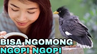 Download Lagu MASTERAN JALAK KEBO BISA NGOMONG KOPI PAK KOPI PAK MP3