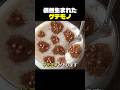 偶然生まれたゲテモノ