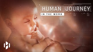Human Journey in the Womb