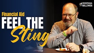 Feel the Sting with Financial Aid Financial Aid At Msu