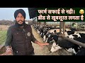 Top farm india       dairy farm punjabbig farm punjaball simen use abs