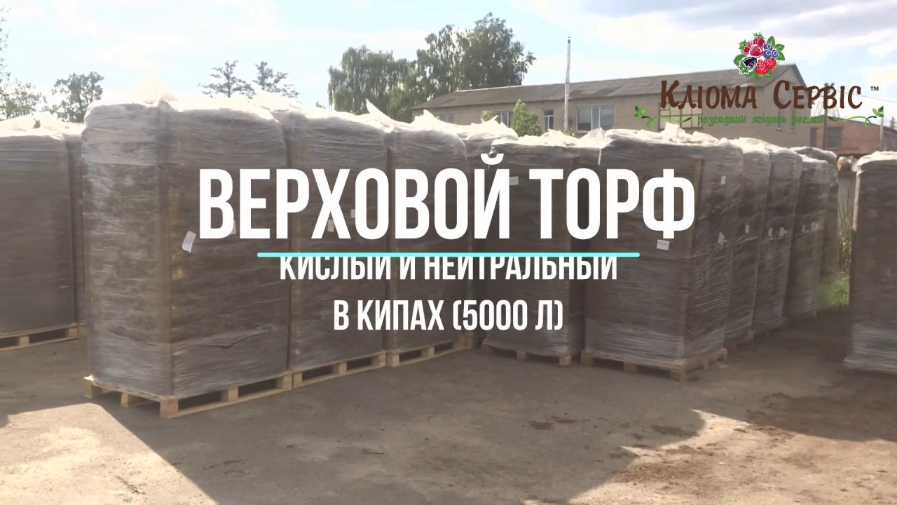 Верховой ТОРФ. Купить торф кислый и нейтральный в  оптом - YouTube