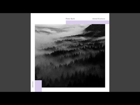 Watch Bonfire on YouTube Watch Bonfire on YouTube