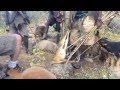 Into the Bush: Hunting with the #Hadzabe # Bushmen