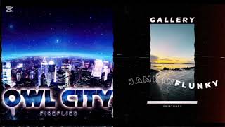 Fireflies  Owl City X Gallery  Jammin Flunky the Newguy Mashup