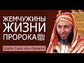 Наставление чиновникам и обладателям власти! Жемчужины жизни ПРОРОКАﷺ. Шейх Саид аль-Камали