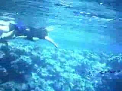 Dahab Blue Hole - February 8th 2008