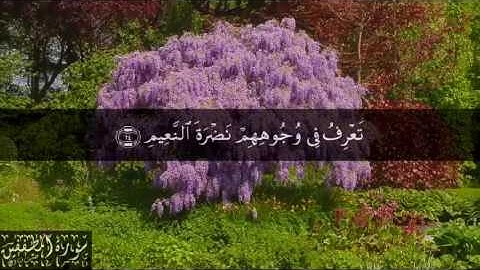 83 سورة المطففين بصوت الشيخ سعد الغامدي