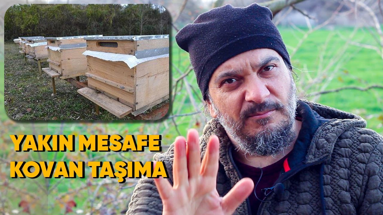 KISA MESAFE KOVAN TAŞIMA HAKKINDA arıların geri dönmemesi için önlemler