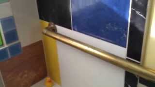 Towel Rack Ideas Installation Art Nouveau Bathroom DIY Brass Rail