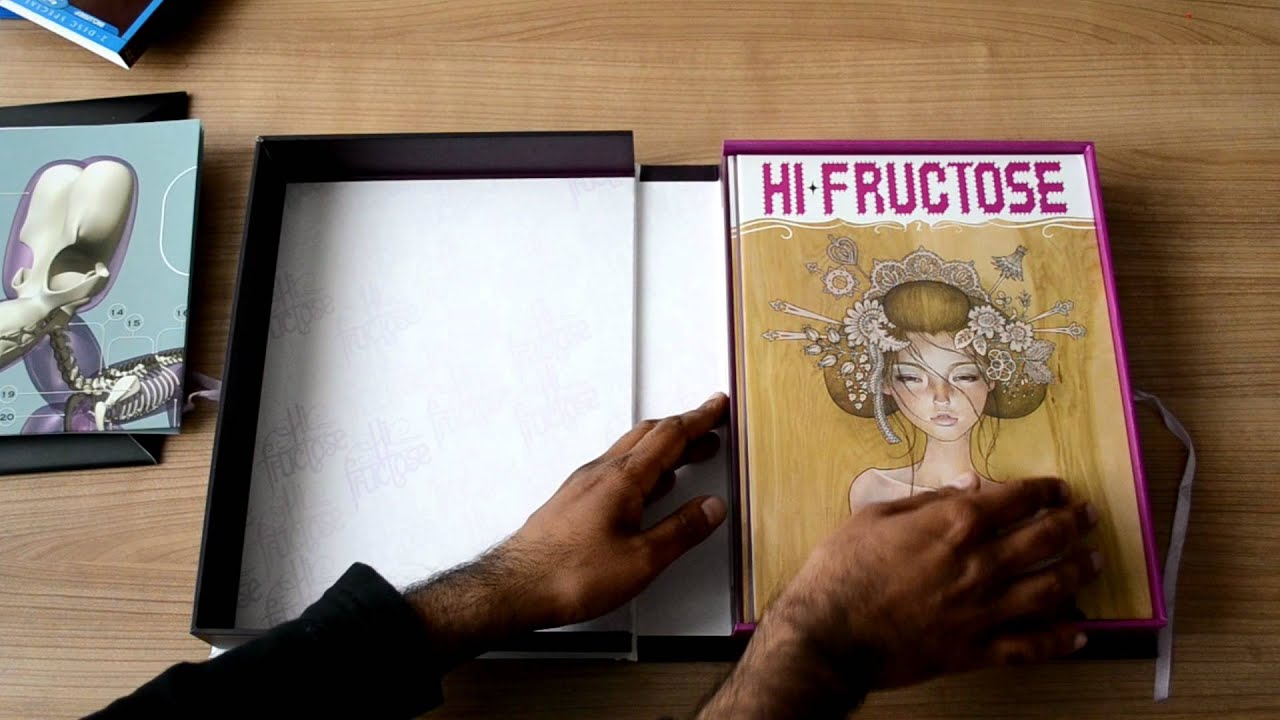 Hi-Fructose Collected Vol. 2 Collectors Edition