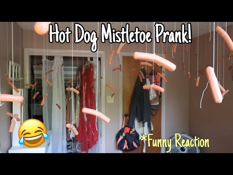 hot-dog-mistletoe-prank!!-(funny-reaction)