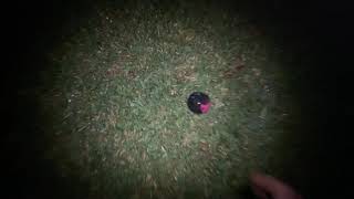 Osprey Radar Small Object Detection